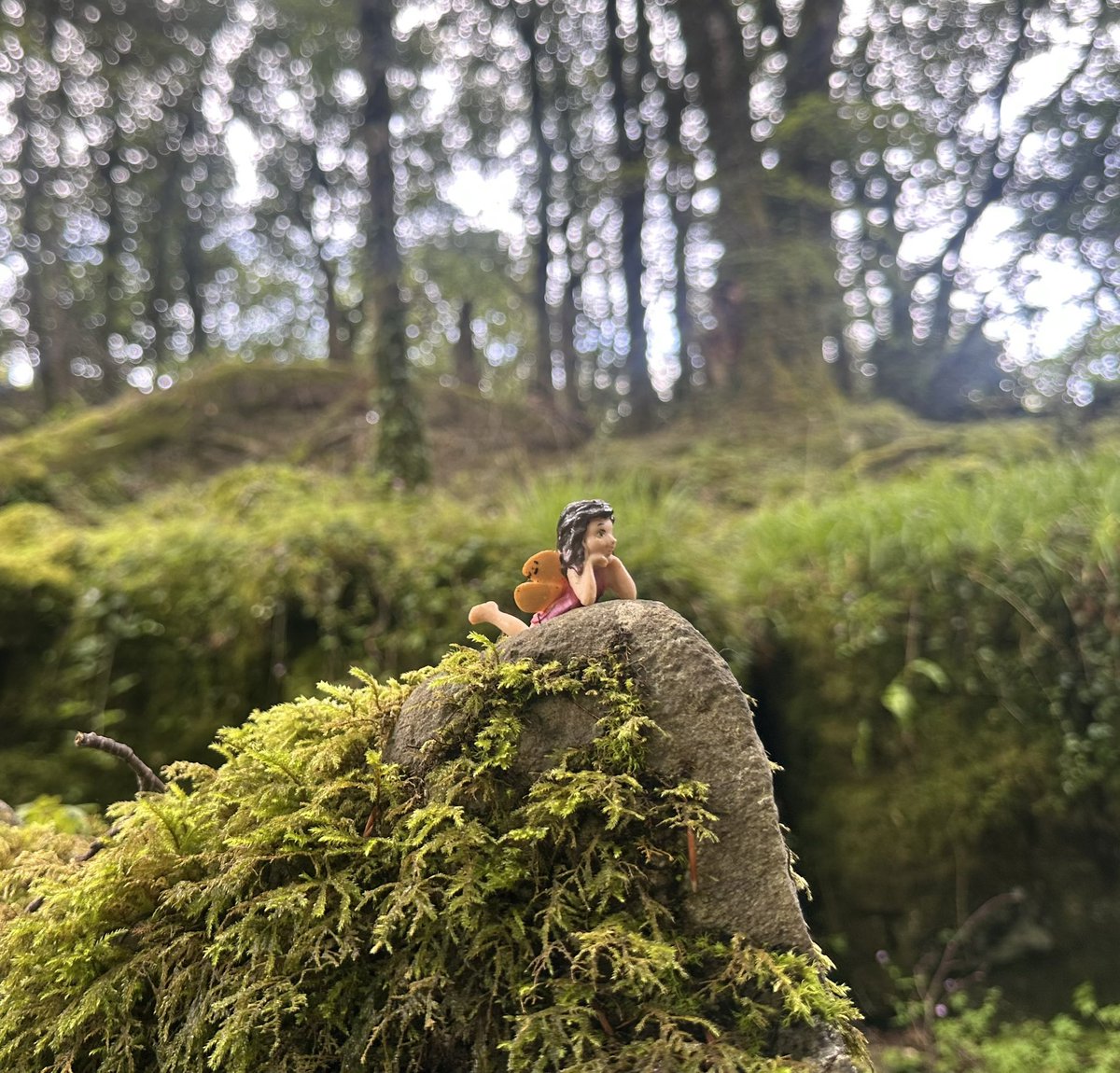 EPCDarrenForde's tweet image. All Solar Emergency EPCs are registered with the  @AmbulanceNAS using #Loc8Code. 
Designed to blend into the Background BUT Designed to be Located in an Emergency  24/7 !! 
( Thank you @SeanCanney)
#FireExtinguisher
#TraumaKit 
#Defibrillator
#HypothermicKit 
#lifeJacket 
#Trauma