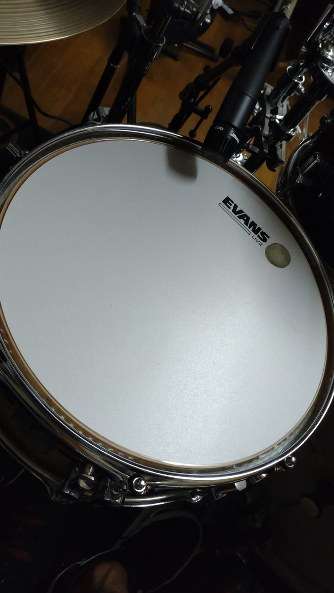 Rune_jara's tweet image. UVシリーズ、気になっていたので試しに張ってみました🥁

もうpops系、これで良くないか？気付いたら全部これになってそう。
無敵だ…。
宅録でガッツリ使い倒していきます🙌

#ドラム 
#Evans