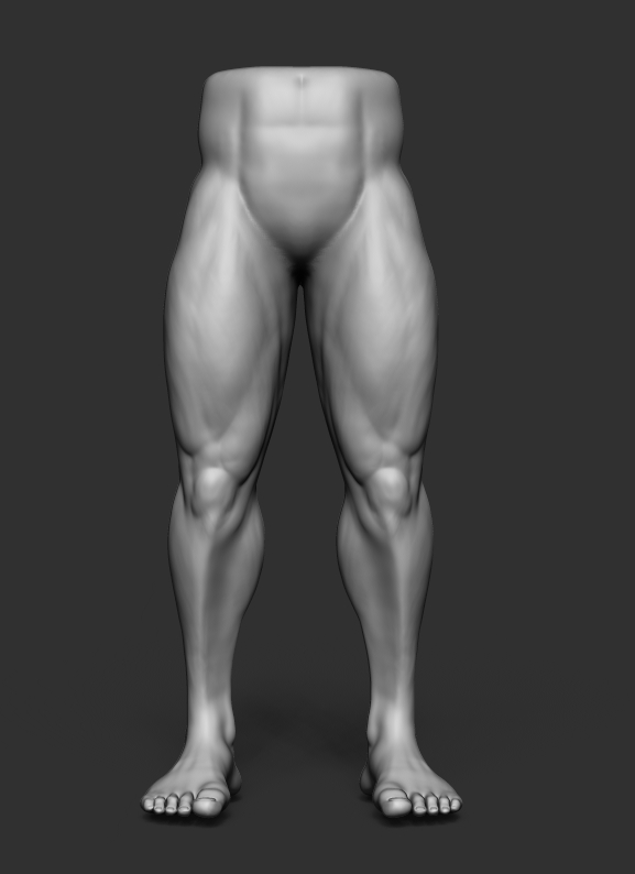 doritingo's tweet photo. Leg anatomy study. Any feedback is very welcome :D https://t.co/SOgP8jloNg
