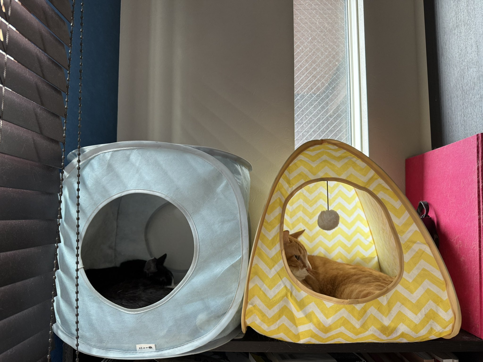 F5_ijjlbcAAr9P7.jpg:large