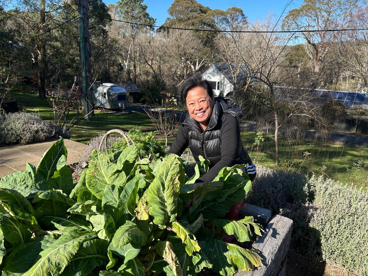 JimmyBarnes's tweet image. Great to get another dry, sunny day… means more time in the garden and vitamin D. It recharges me no end.
@jane13barnes