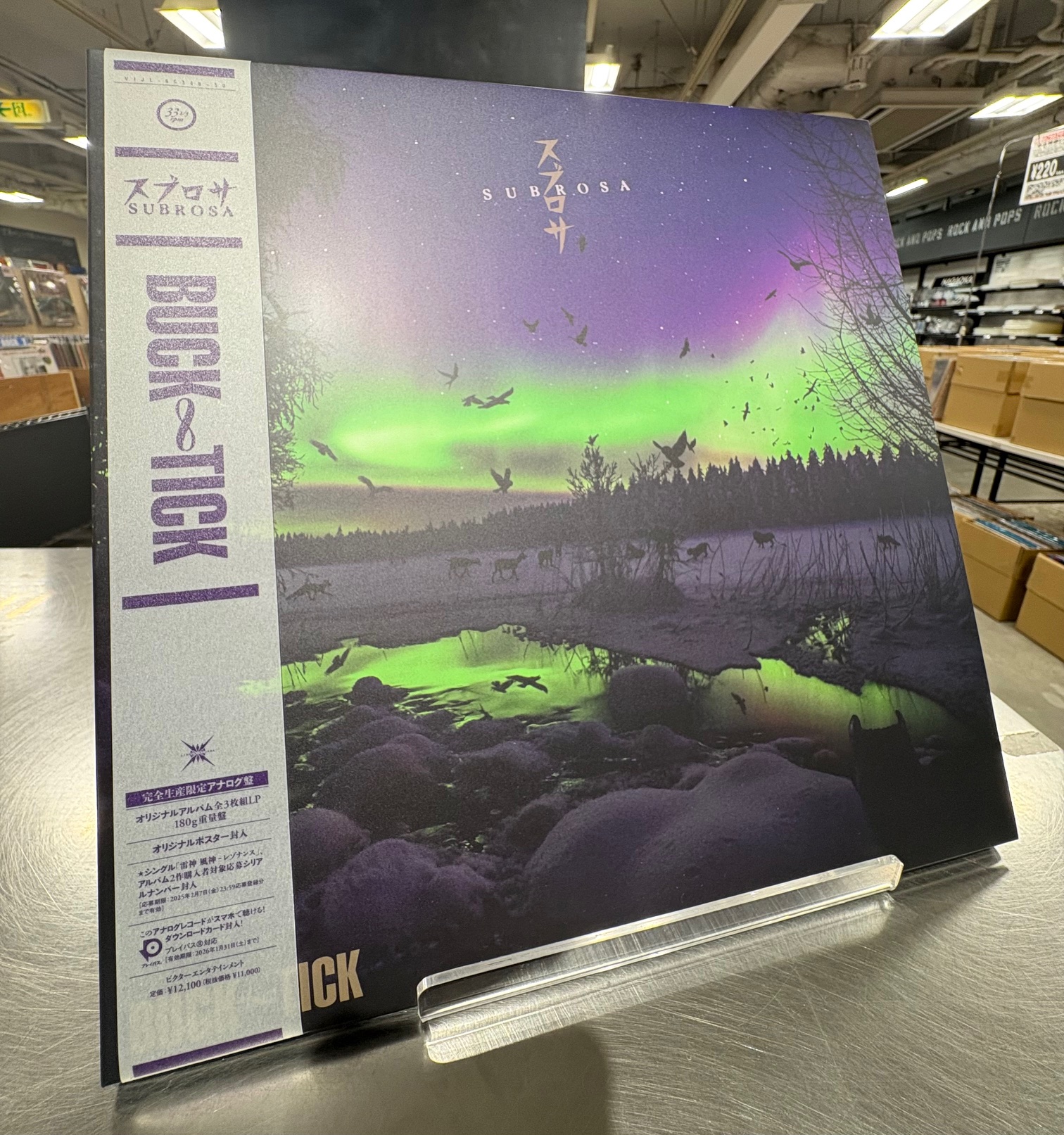 ホフディラン & ザ・ユウヒーズ アナログレコード 6枚セット HMV record shop 渋谷【CD/レコード高価買取中】 on X: 