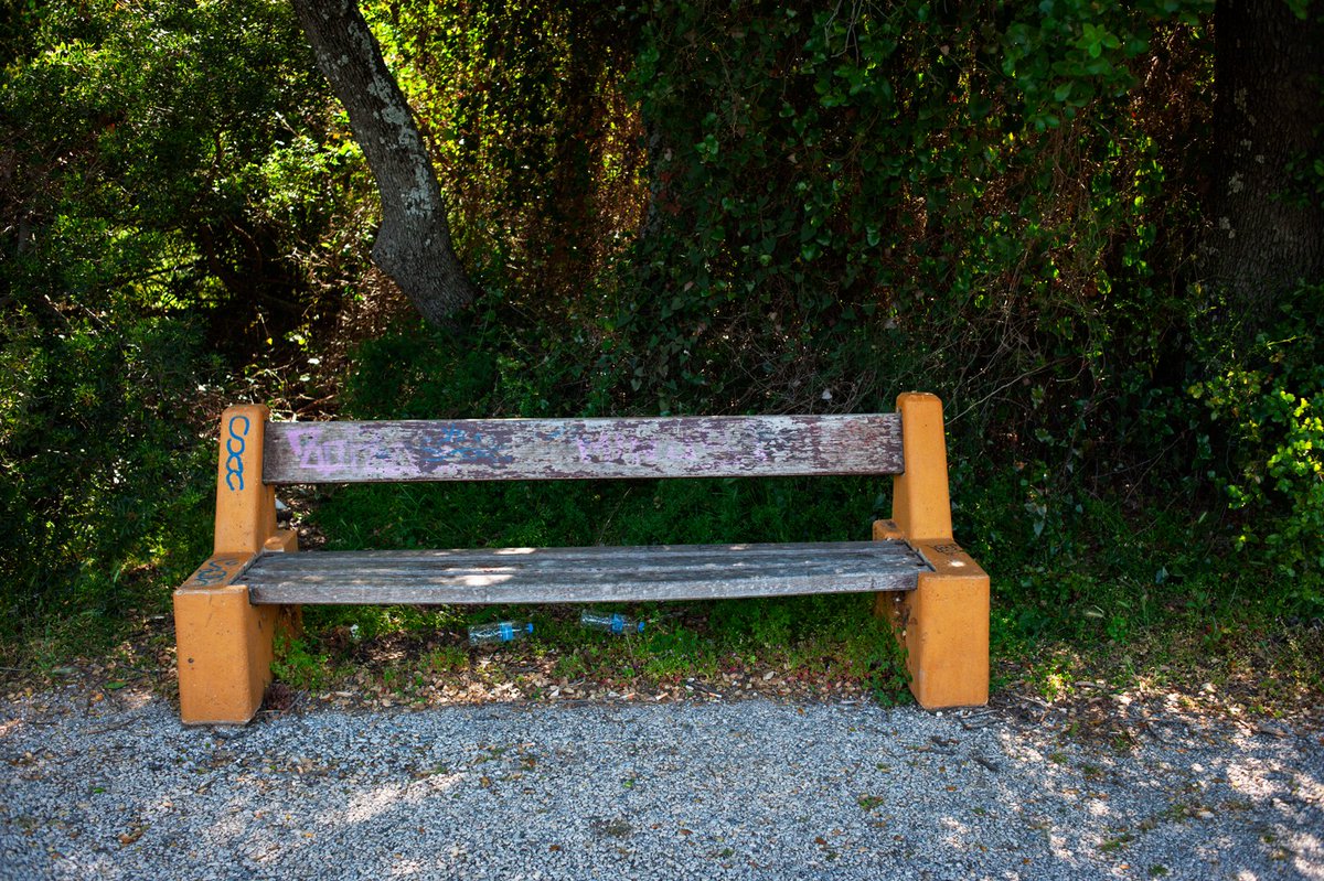 Cassi Moghan (@cassi_moghan) on Twitter photo SOLD OUT!!! A very heartfelt thank you to <a href="/nft_clctr/">Elias_tnft 💎💎💎</a> for collecting the last edition of Observation!! Appreciate you Elias ❤️
If you would like to see the rest of the benches and collect one for yourself 🔗⬇️
2 $XTZ only!!! SOLD OUT!!! A very heartfelt thank you to <a href="/nft_clctr/">Elias_tnft 💎💎💎</a> for collecting the last edition of Observation!! Appreciate you Elias ❤️
If you would like to see the rest of the benches and collect one for yourself 🔗⬇️
2 $XTZ only!!!