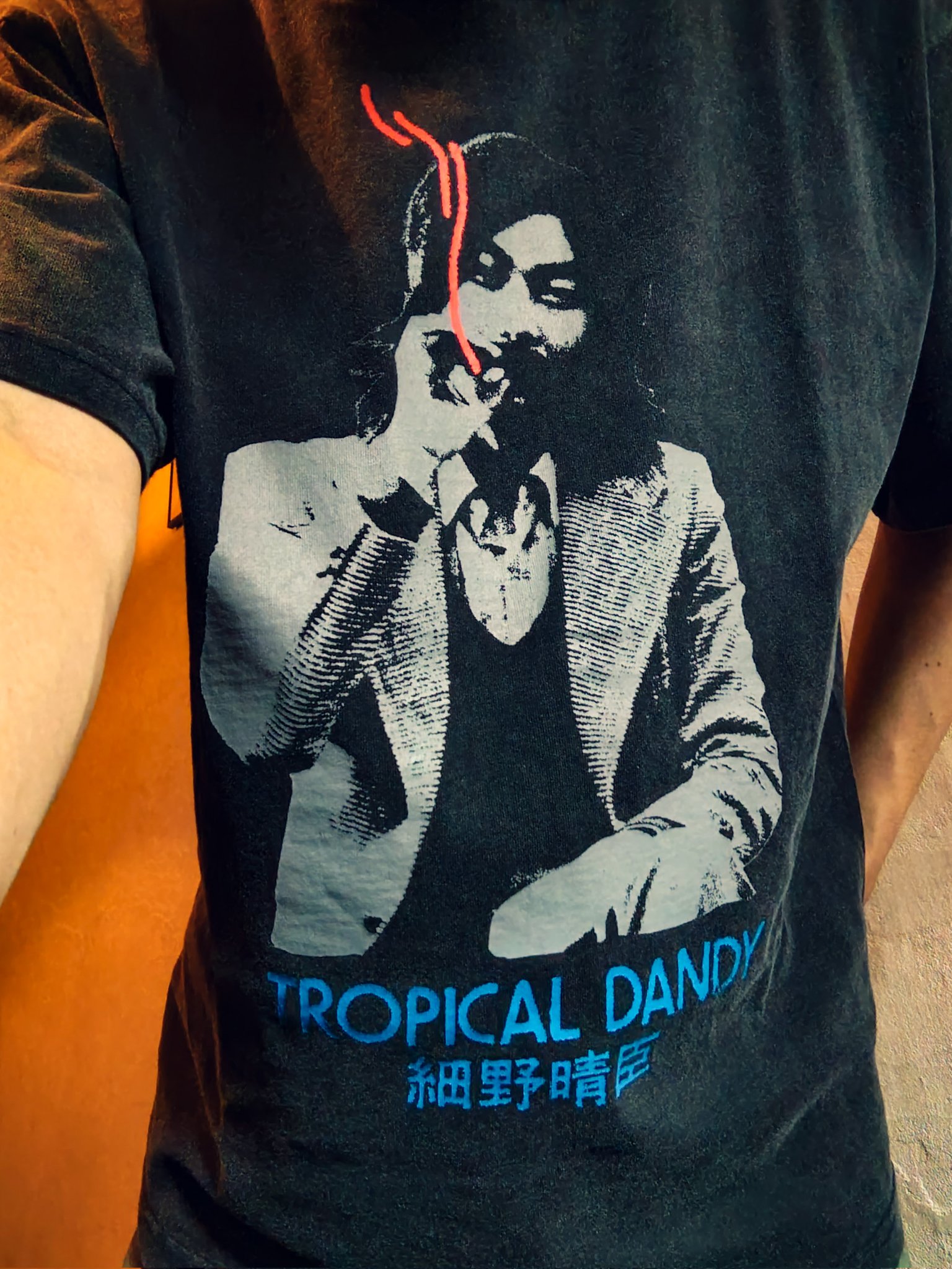 細野晴臣 Bon Voyage co. Tシャツ Lサイズ - メルカリ