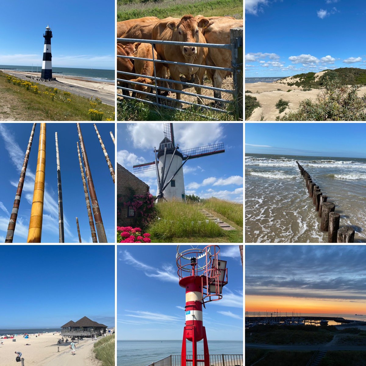 Zomer in Zeeland!☀️