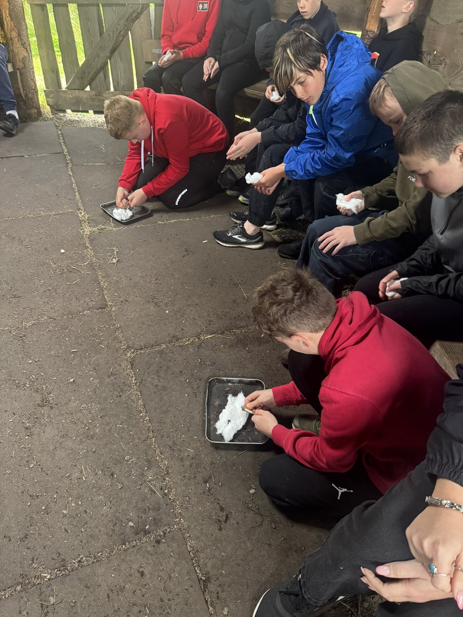 Bedwas Cymraeg tweet media