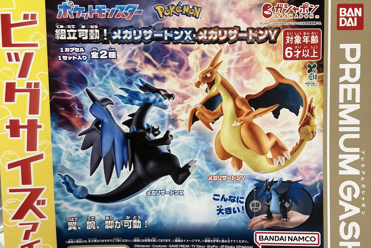 ポケモンスケールワールド リザードン カメックス 開封品 D-Arts