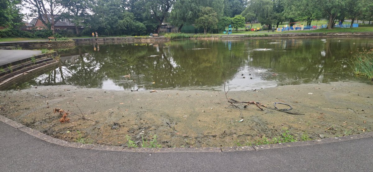 SNELLY (TONY SNELL) (@snellyradio) on Twitter photo Hi <a href="/HaltonBC/">Halton Council</a> & <a href="/unitedutilities/">United Utilities</a>. What is the current situation with Heath Park pond? A haven for wildlife, a green space people of all ages. It's staring to smell and become stagnant in places. We've had dry spells before and it's never been like this. Thank you. Hi <a href="/HaltonBC/">Halton Council</a> & <a href="/unitedutilities/">United Utilities</a>. What is the current situation with Heath Park pond? A haven for wildlife, a green space people of all ages. It's staring to smell and become stagnant in places. We've had dry spells before and it's never been like this. Thank you.