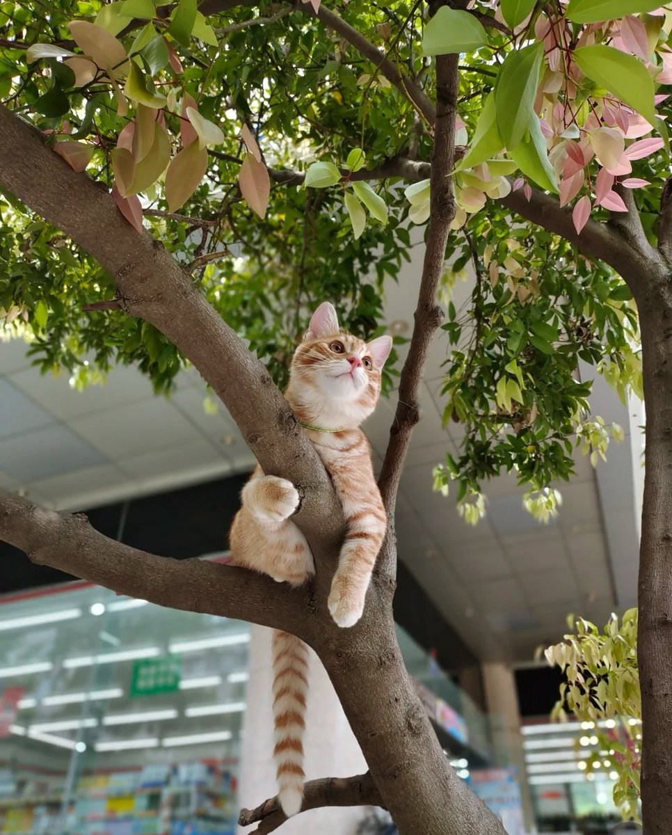 Have a nice weekend!