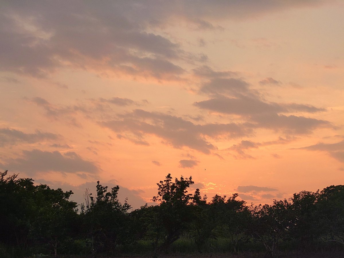 夕暮れの甲府盆地。
夕陽に染まる西空。