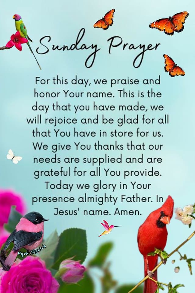 Good morning Patriots it's Sunday so you know the deal.  No grinding just relaxing and enjoying family and friends.  Stay safe and love one another. 
✝️✝️✝️🇺🇲🇺🇲🇺🇲