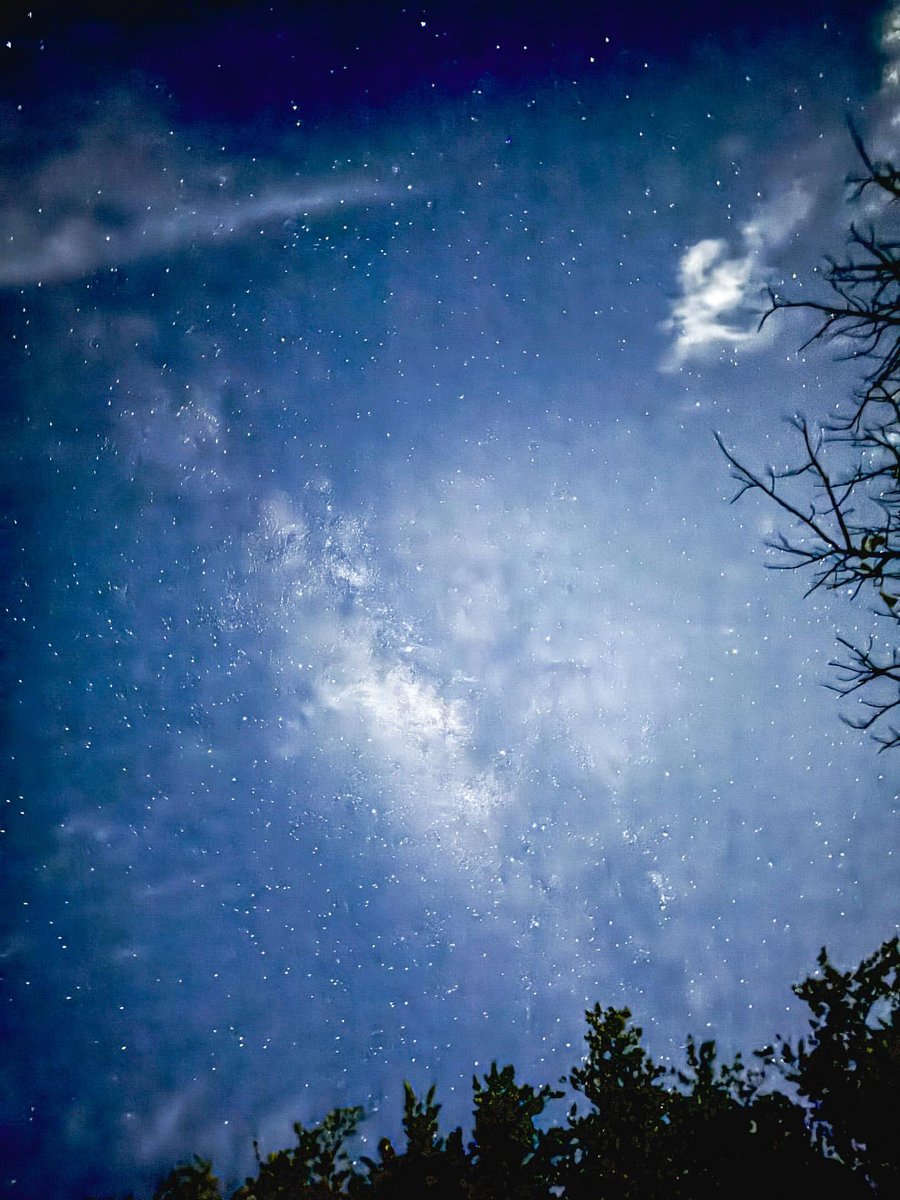 쿱정원 (@wonubliss) on Twitter photo 