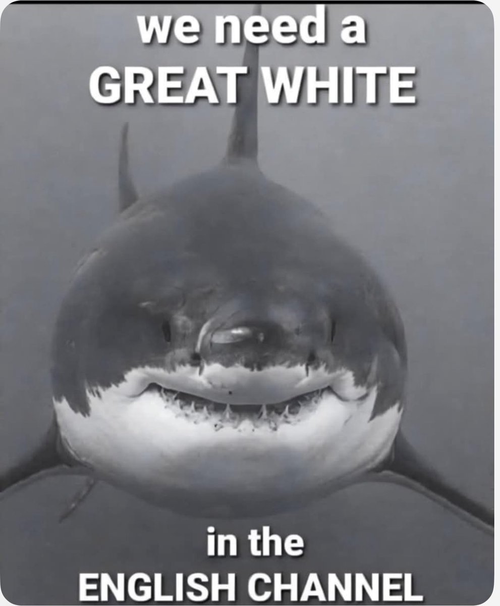 DVATW's tweet image. 👀