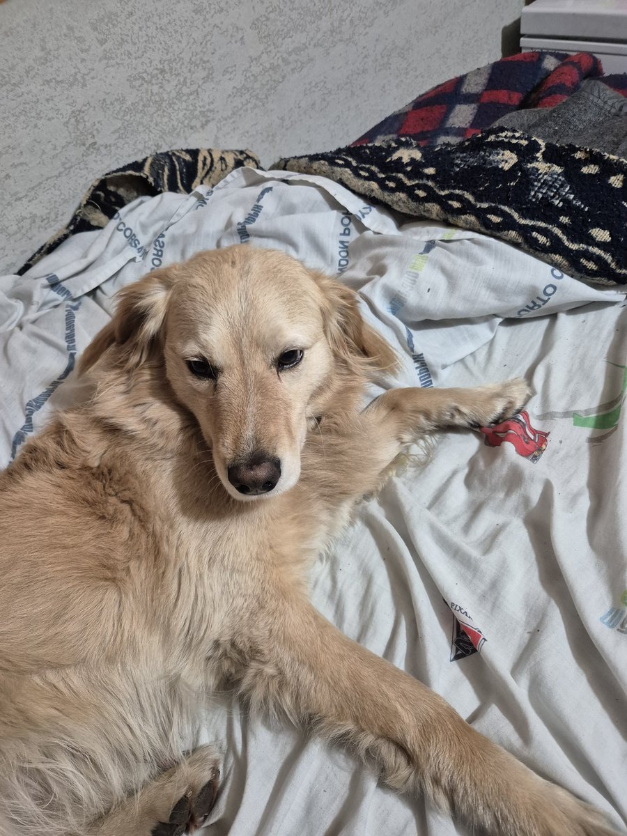 Alguien dormirá con papá está noche parece MFNFNDJDJDKDK❤️❤️❤️❤️❤️