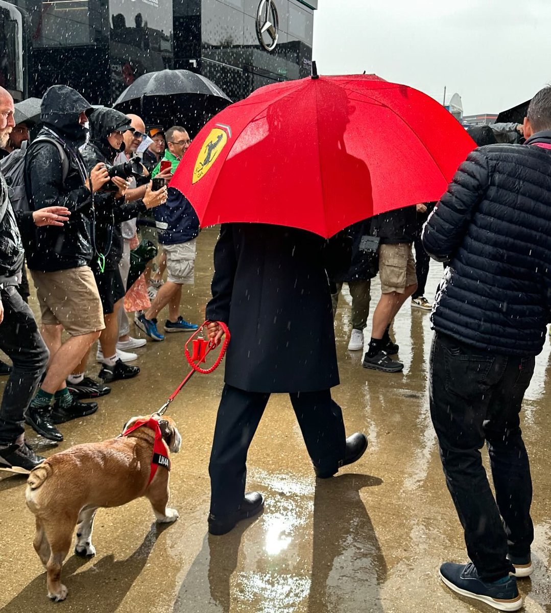 softsebb's tweet image. everything about this photo . the ferrari umbrella . lewis’ shadow . roscoe in tow . mercedes hospitality in the background . art