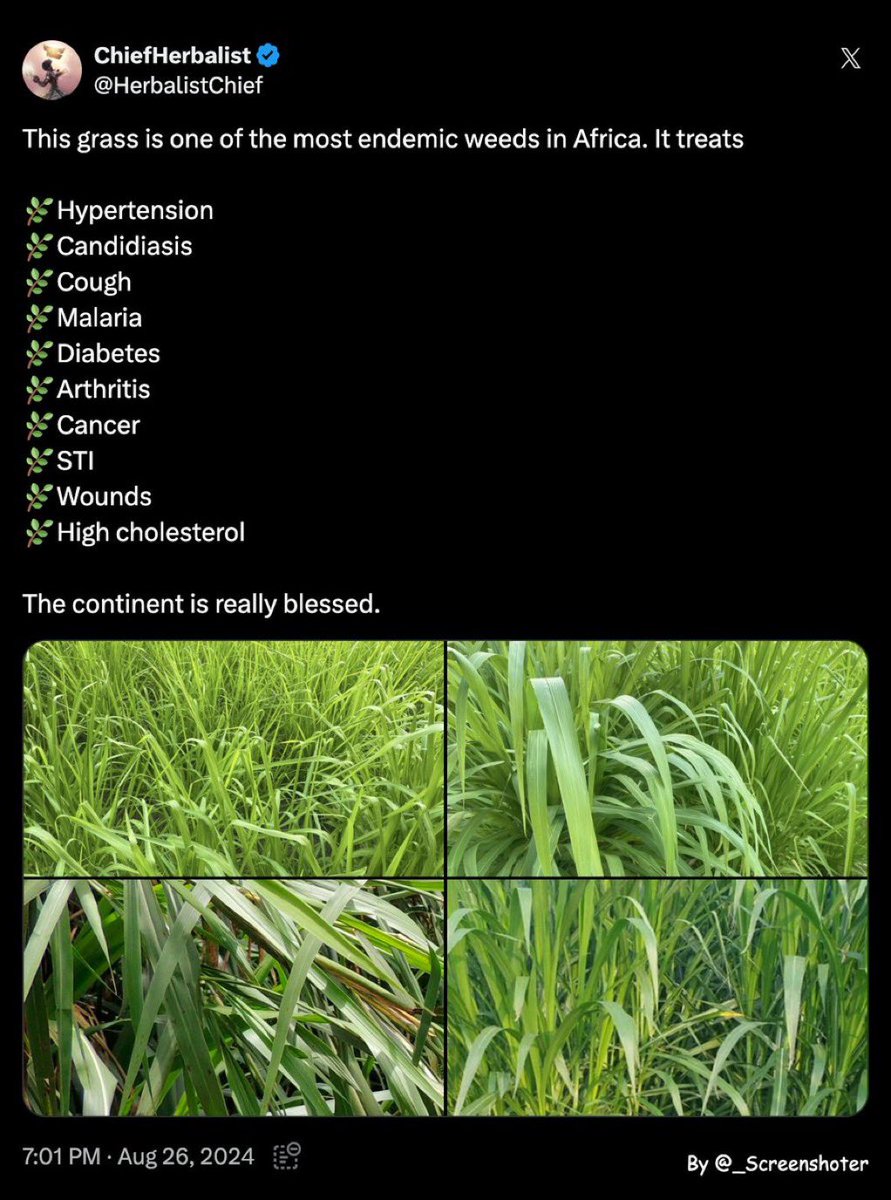 ChiefHerbalist tweet media