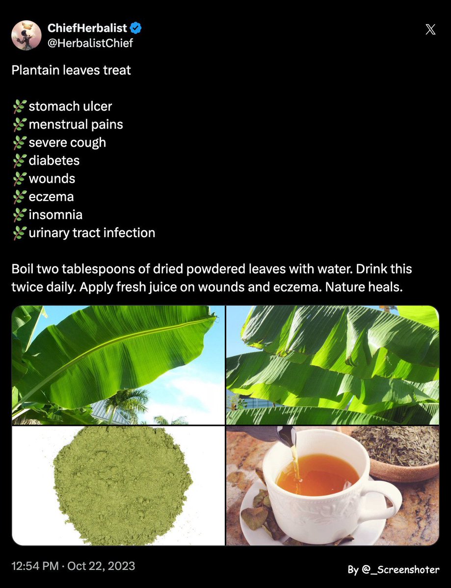 ChiefHerbalist tweet media