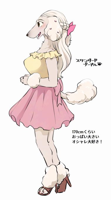 プードルちゃんと竿役の案 