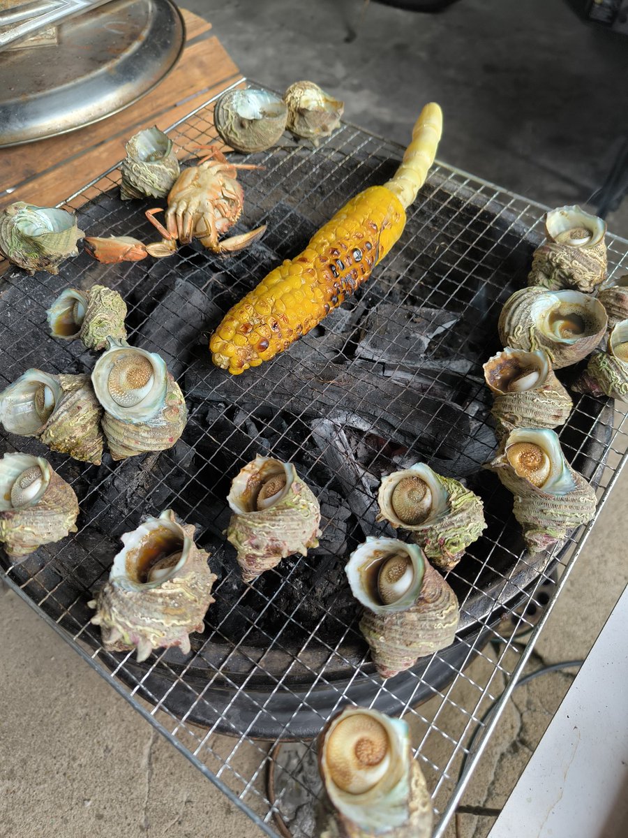 自分探しの旅の終着点はこちらです🌽