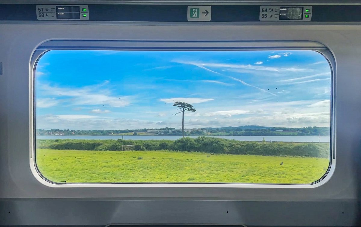 Shout out to my favourite tree in Devon, there. #TravelByTrain
