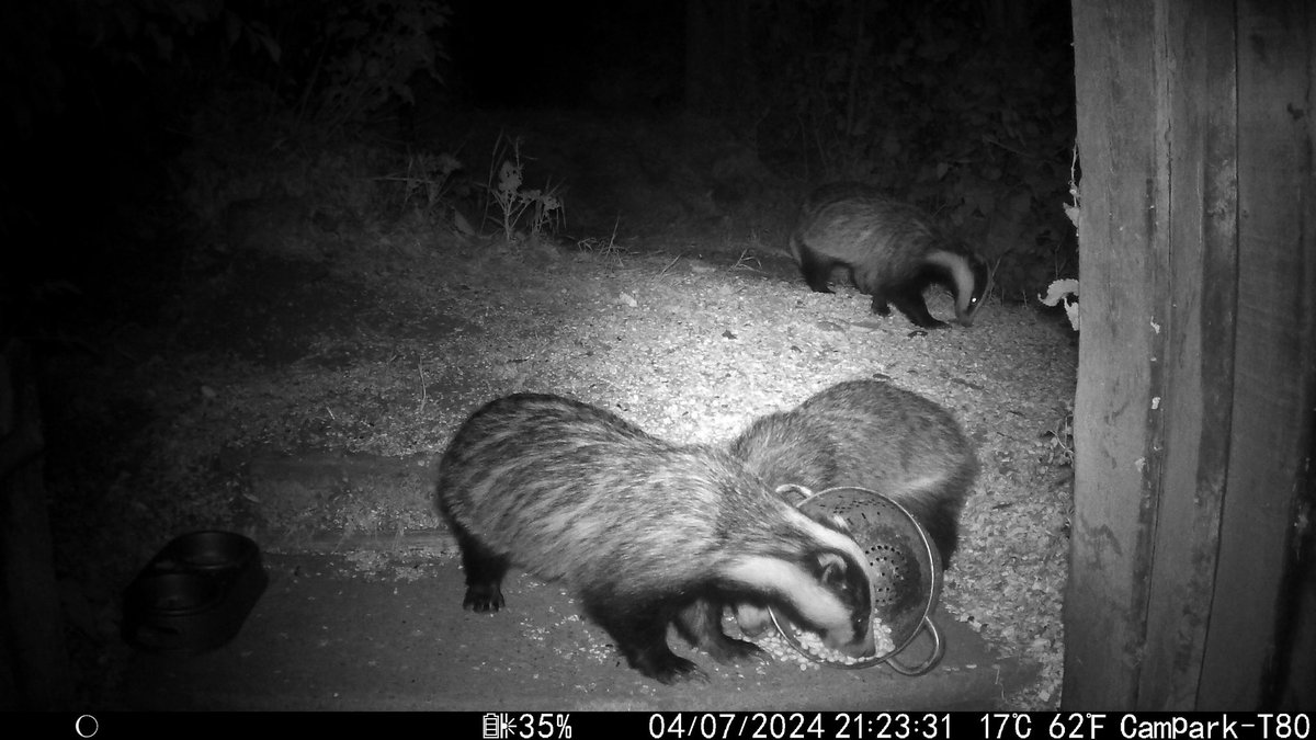 Kettering Wildlife corner tweet media