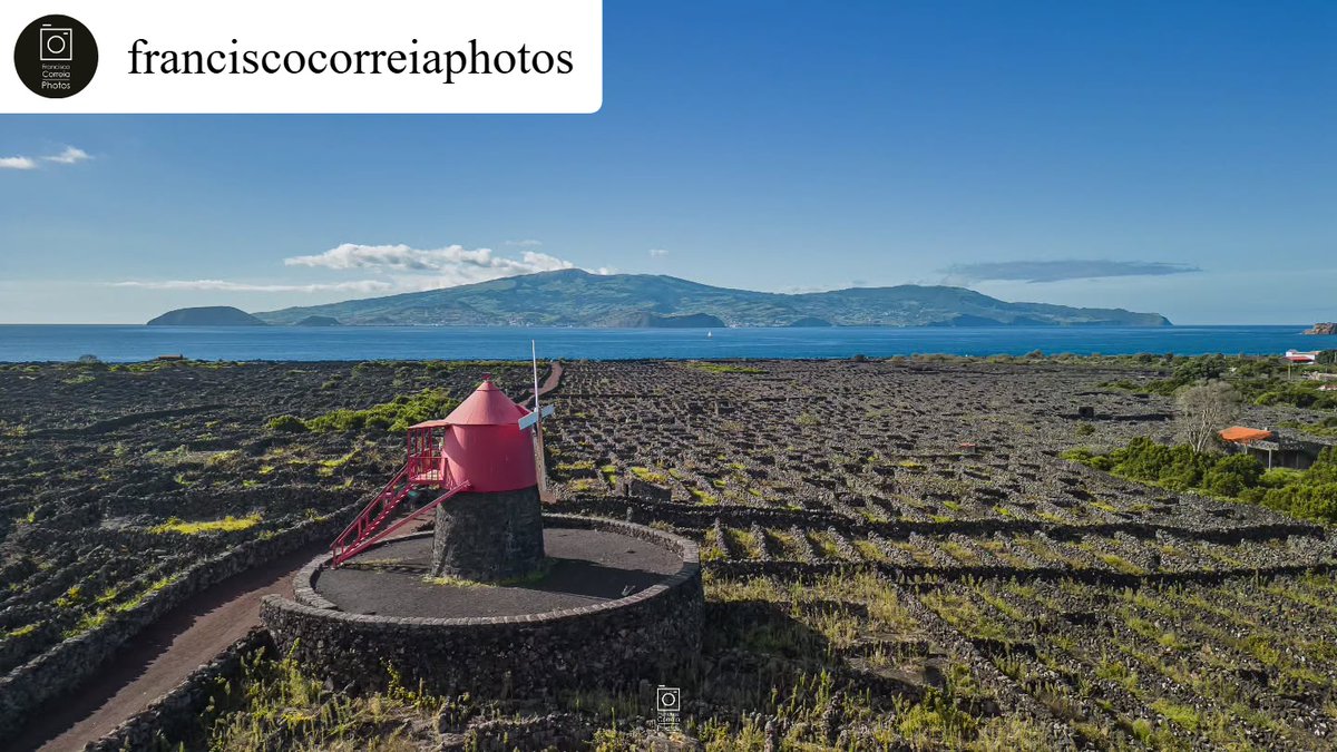 Sabia que a zona da Criação Velha na ilha do Pico é considerada Património Mundial da UNESCO?

Did you know that the Criação Velha area on Pico Island is considered a UNESCO World Heritage Site?
#visitazores #açores #azores