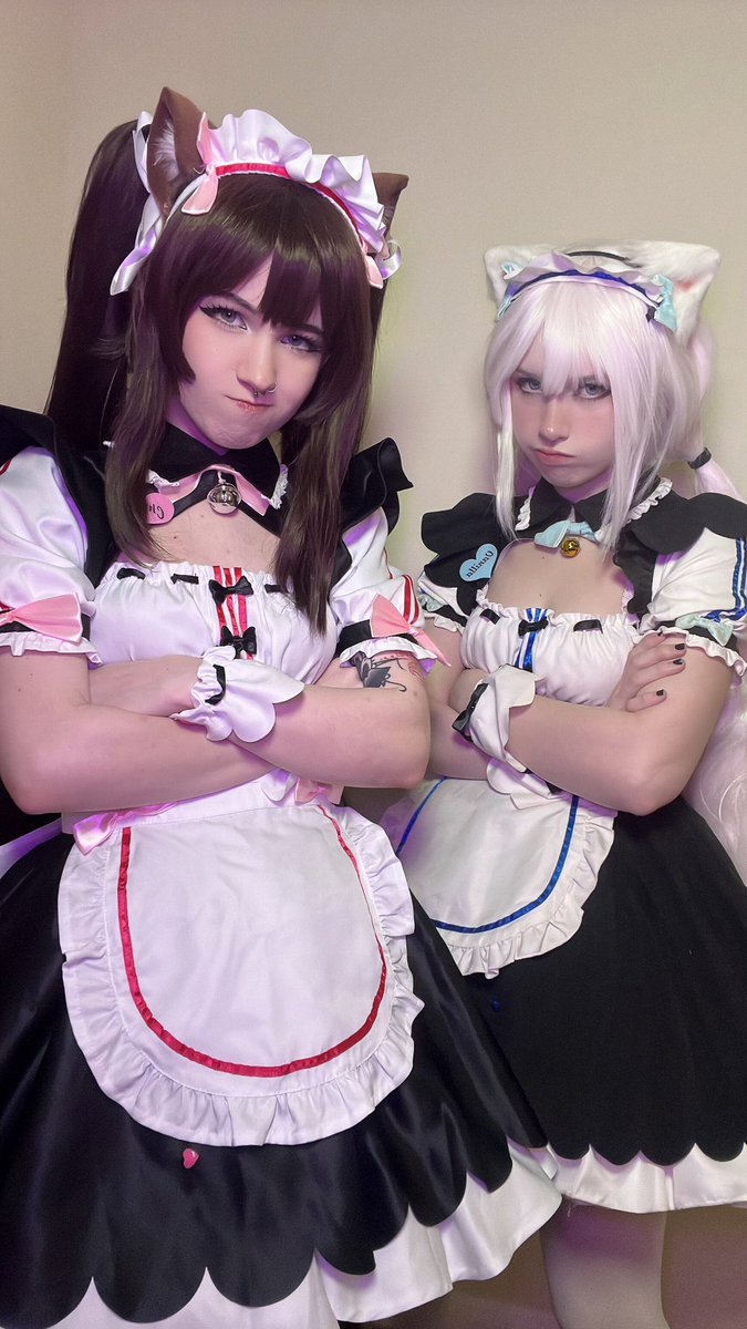 i can’t beleive i used to think i was a dog person, cats are literally soooooo much cuter