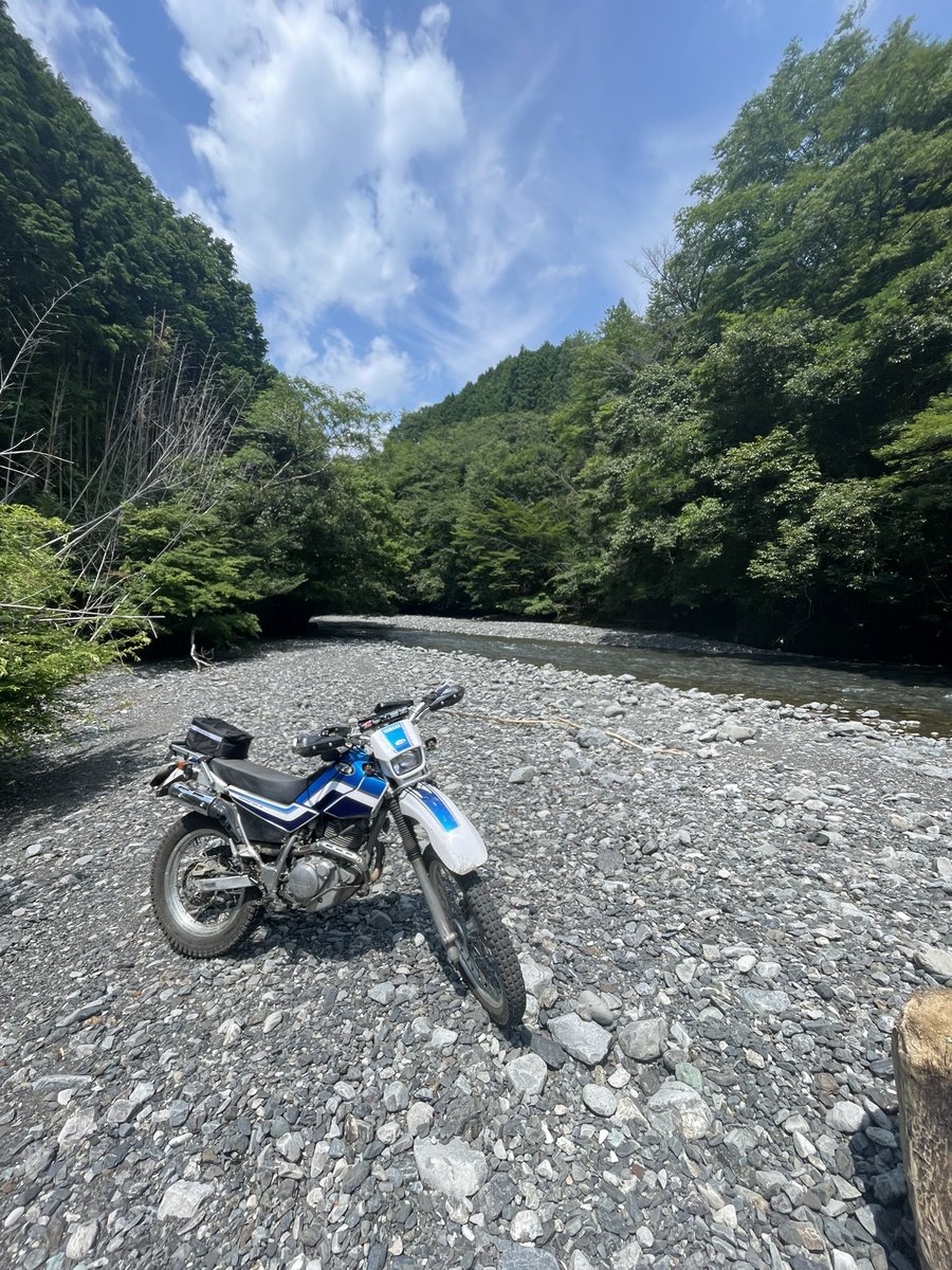 今日はセローで出動。