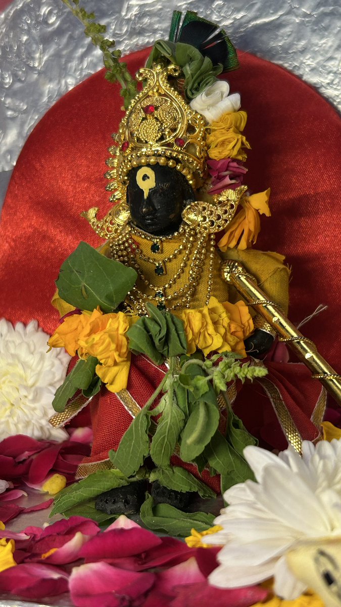 देवशयनी आषाढ़ी एकादशी शुभेच्छा 🌼
sri thakur ji appeared in the form of Sri Vitthal