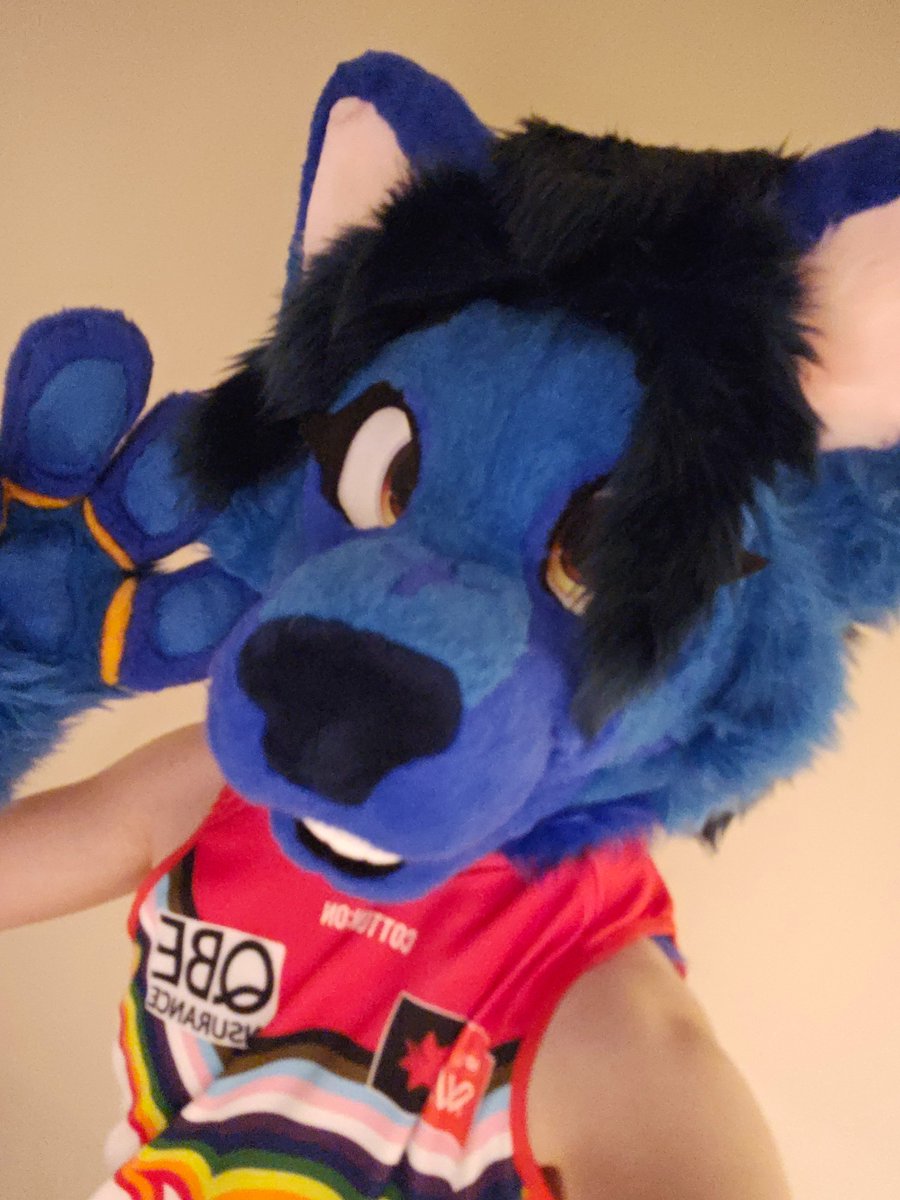 Photo inspired by <a href="/WolfWintry/">Wintry ❄️ 🔜 Aurawra</a> gotta get behind the AFLW too!

🪡 @ast