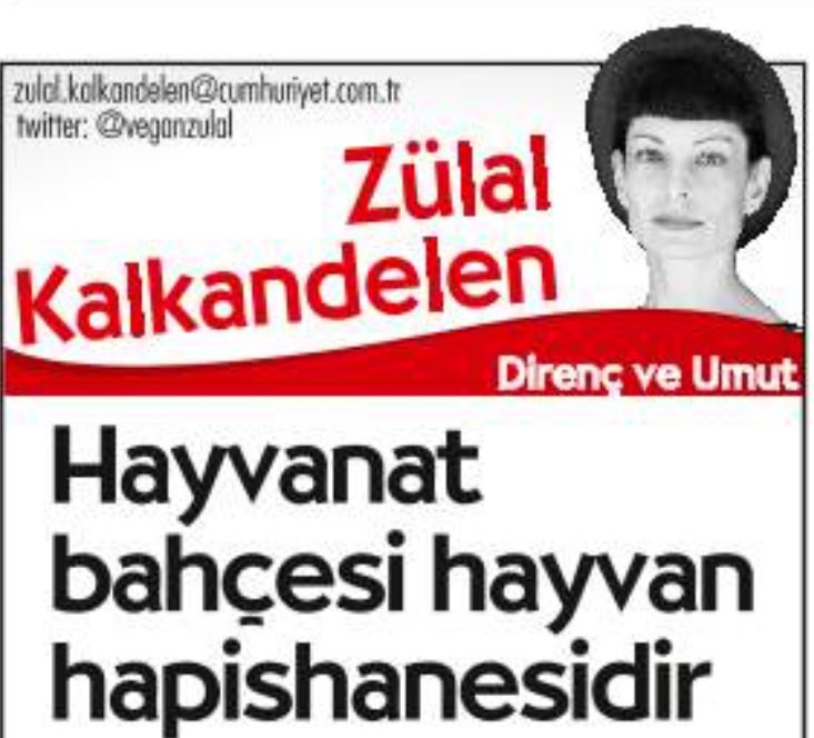 Hayvanat bahçeleri kapatılsın! 
cumhuriyet.com.tr/yazarlar/zulal…