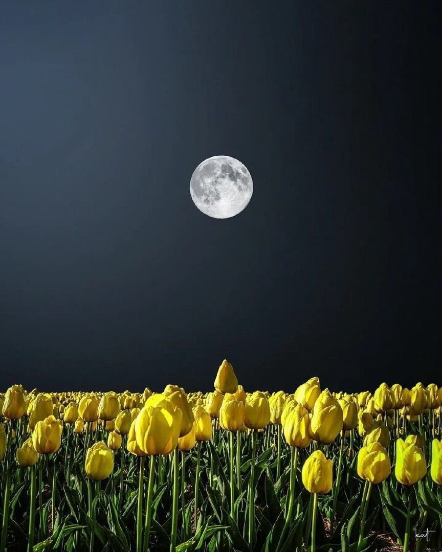 Moon4pics's tweet photo. https://t.co/qV7IdCuggX