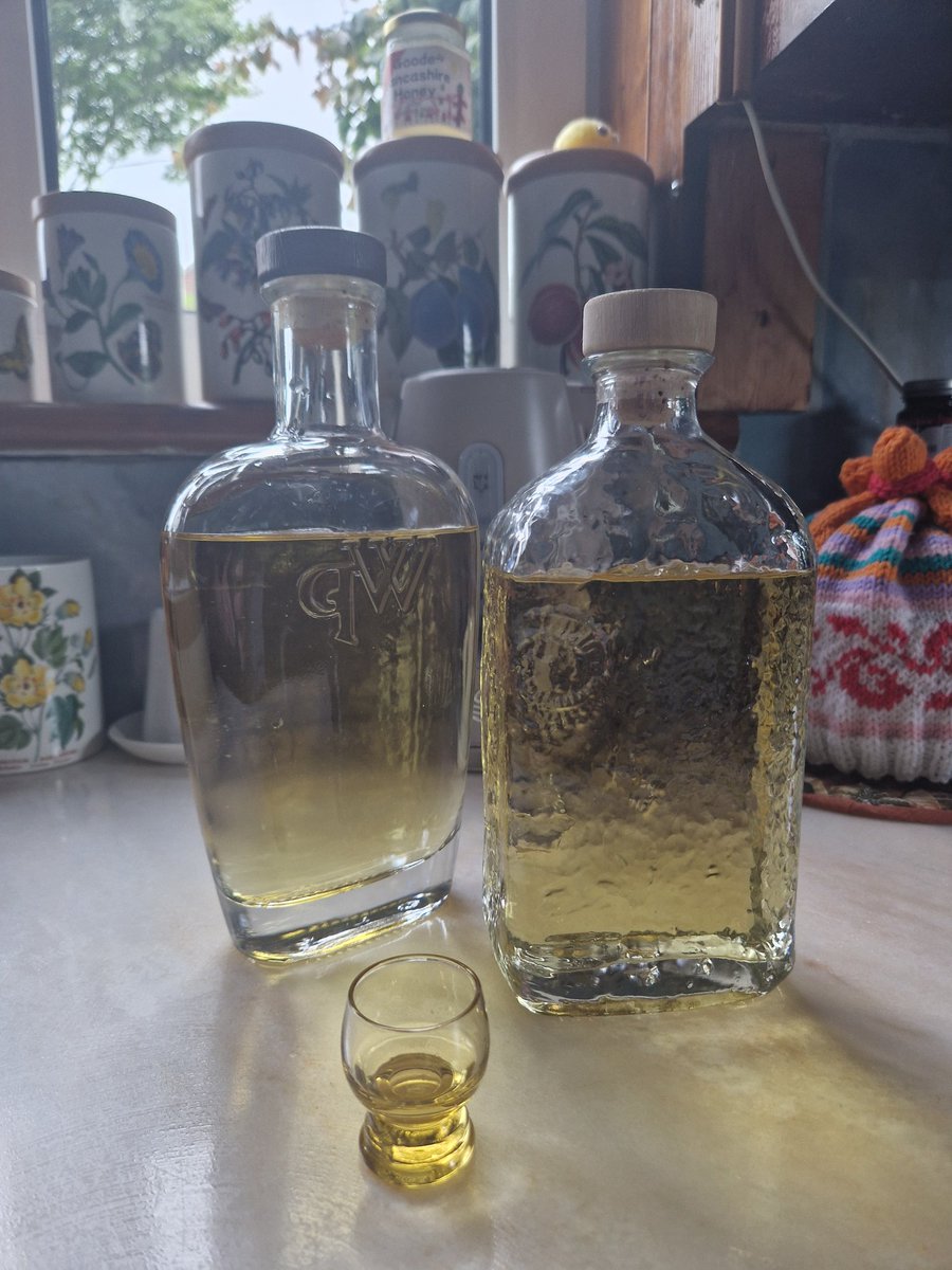 <a href="/aisforapplepod/">A Is For Apple Podcast</a> <a href="/neilbuttery/">Dr Neil Buttery</a> - Bayleaf Vodka update. After 2 weeks I've decanted the Vodka. It's a gorgeous colour &amp; has a faint bay smell. However, the taste is amazing, definitely bay &amp; a warm back note. Not one to turn into a liqure, sugar would kill it, IMHO. Will repeat