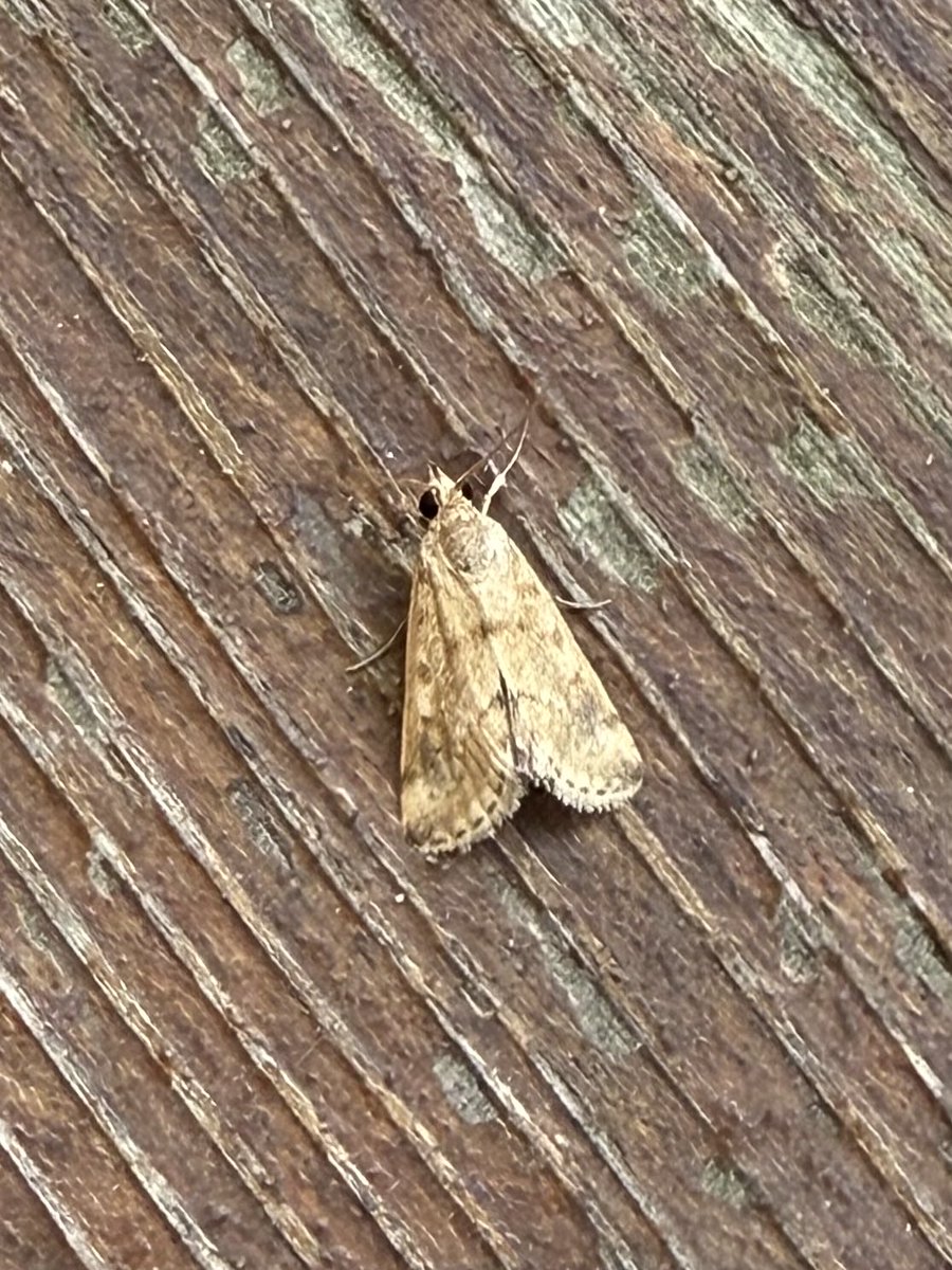 GaryWVC76's tweet image. 