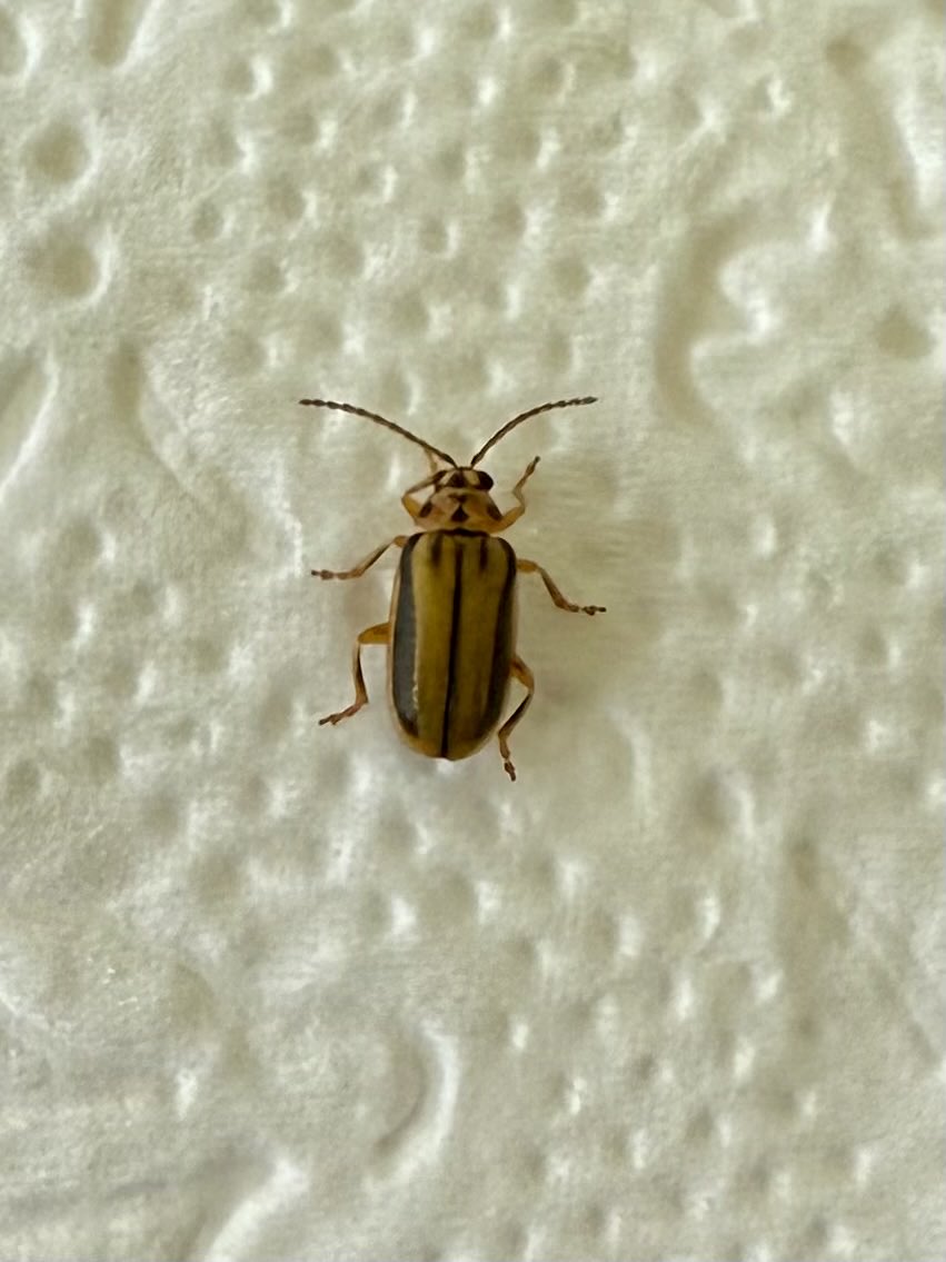 GaryWVC76's tweet image. 