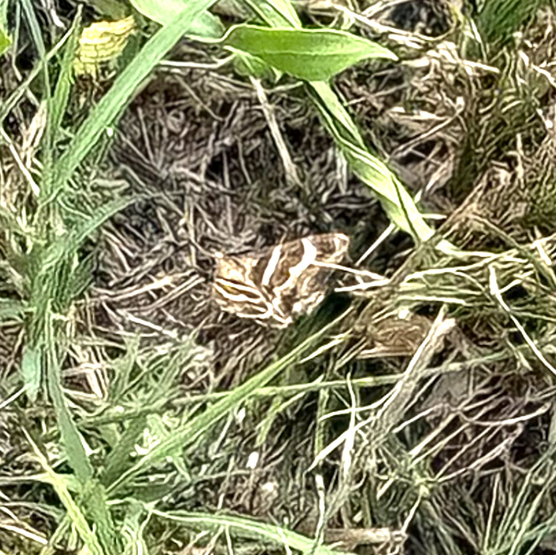 GaryWVC76's tweet image. 