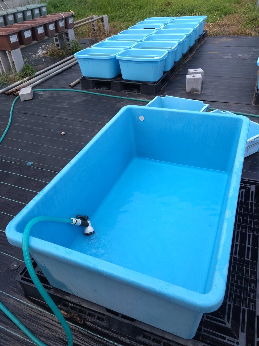 暑い時はここに入れば大丈夫😉👍