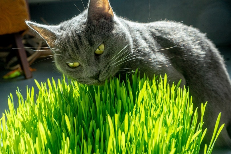 john_cast88's tweet photo. #openseatouchgrass https://t.co/BFDE0fts5b