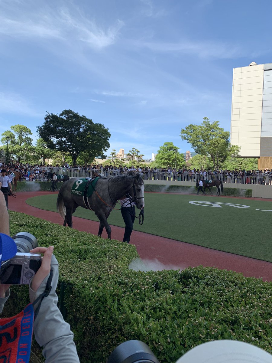UIsPDdezxzv7NpN's tweet image. 小倉競馬、楽しかったです🤗
北九州記念、よしのさんの推し馬、ヨシノイースターを応援📣
勝ったのはヤマニンアルリフラ🐴
ヨシノイースターはよく頑張ったよ🥹
来年もナツコク行けますように🙏
お付き合いいただいた皆様方、ありがとうございました🙇🏻
