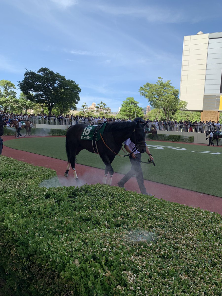 UIsPDdezxzv7NpN's tweet image. 小倉競馬、楽しかったです🤗
北九州記念、よしのさんの推し馬、ヨシノイースターを応援📣
勝ったのはヤマニンアルリフラ🐴
ヨシノイースターはよく頑張ったよ🥹
来年もナツコク行けますように🙏
お付き合いいただいた皆様方、ありがとうございました🙇🏻