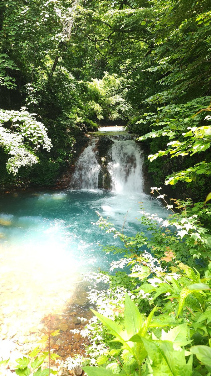 Andii♥ tweet media