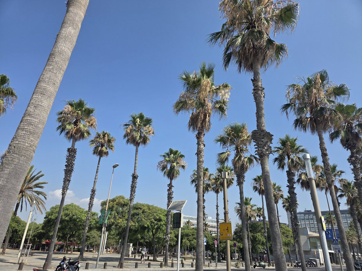 Spain, I am inside you.