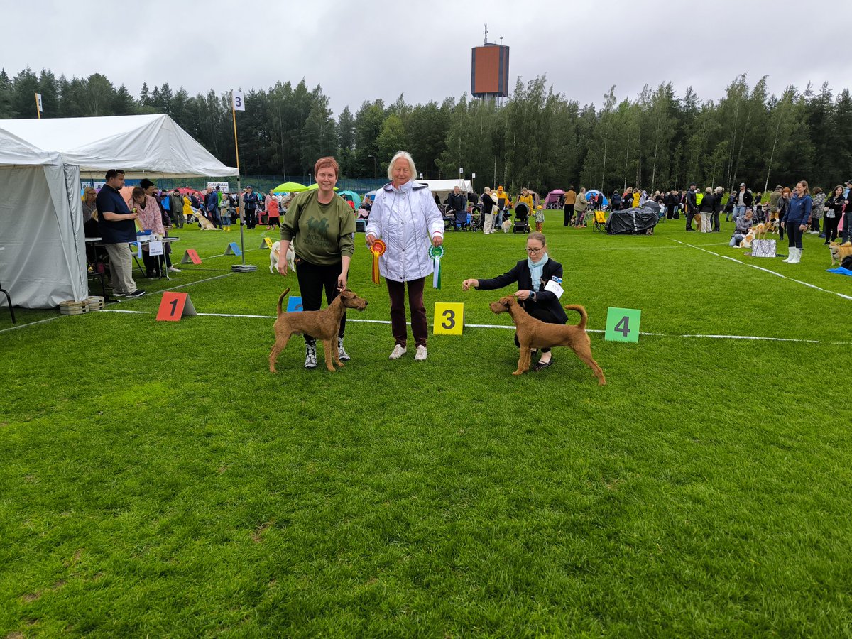 TiinaKeskimki's tweet image. Saa onnitella!!! 😍🐶🥳

#Remu ROP, SERT, MVA