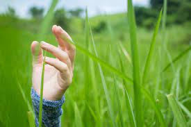 lisango99's tweet photo. #openseatouchgrass https://t.co/9MGNkWgfHz