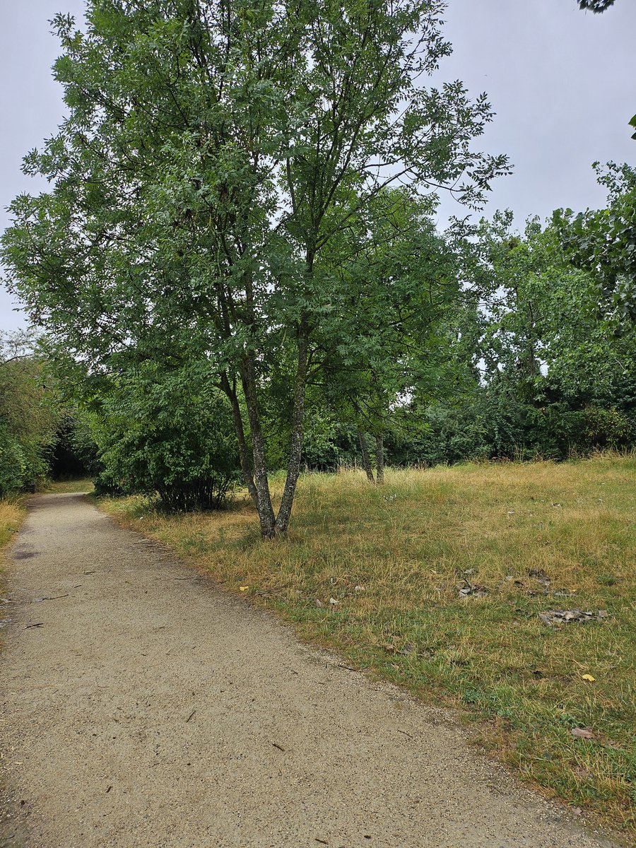 lmoustik_60's tweet image. Hey la team.

Petite sortie de 10kms. 5kms tranquille puis 4kms avec du rythme et 1kms de récupération.

En plus de ça j'ai réussi à éviter la pluie 😅

Bon dimanche

#garminfrance #Mizuno #gayrunner #gayrunning #runningparis #marathonien  #marathonien #triathlete #shokz