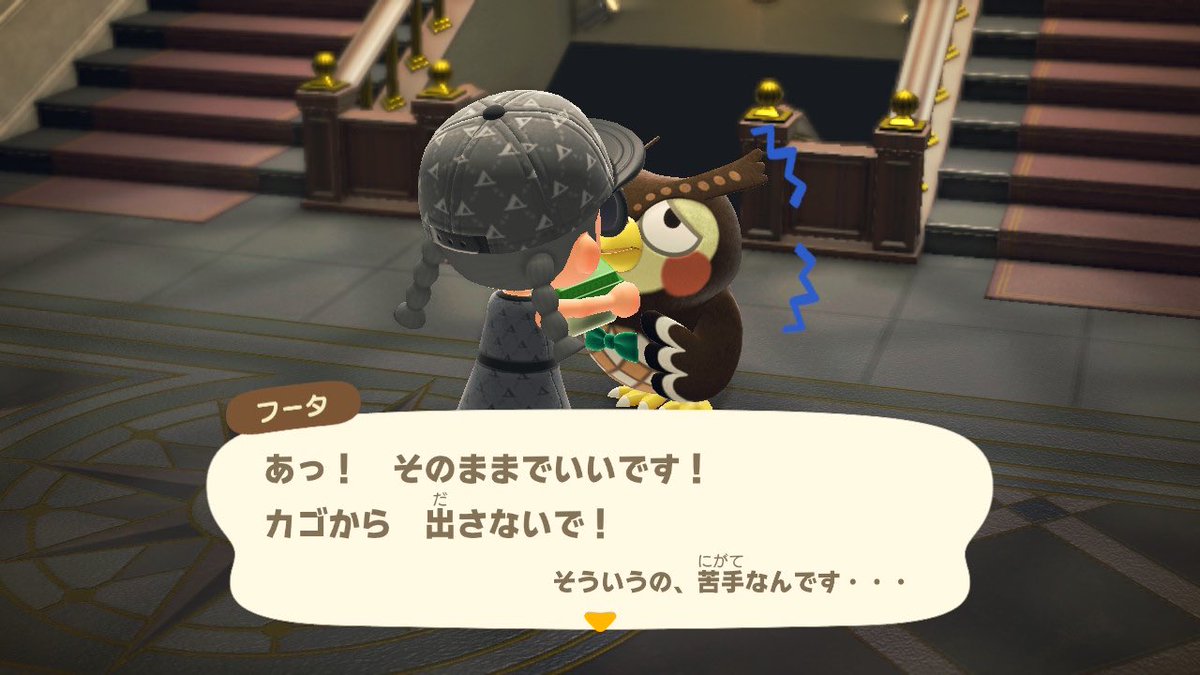 サソリ取りチャレンジっ👍

フータに渡したら怖がられました〜、サソリの前でモニカと話したら『静かに〜』って言ってました☺️

#あつ森好きな人と繋がりたい 
#あつ森