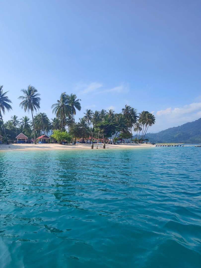 SUMATRA: Paradijselijke RIMBA ECOLODGE 🌴🥥🐠☀️💚
Ten zuiden van Padang vind je een prachtige kustlijn, met witte stranden en helderblauw water. Langs deze kustlijn bevindt zich het pareltje Rimba Ecolodge.

linkedin.com/posts/mimpirei…
