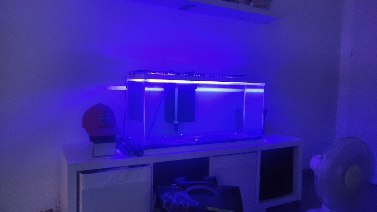 1pereformidable's tweet photo. 8 mois plus tard.... Non non j'ai pas une addiction.... Je gere.... 
50l => 100l =>> 200l..... Je n'ai pas du tout une alerte leboncoin pour trouver un 500/600l...... 
Ce truc est plus addictif que la coke bordel https://t.co/MEH67FBTdx