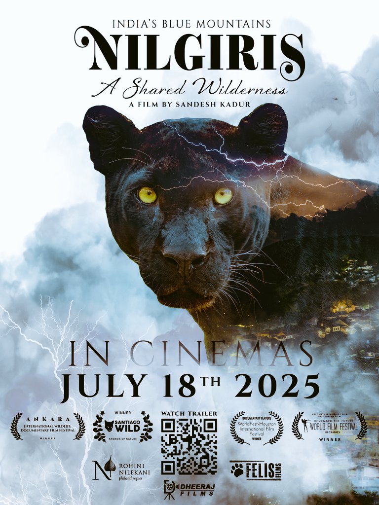 Dheeraj Pai (@dheerajpai1) on Twitter photo Proud to distribute Nilgiris-The Shared Wilderness across India 🌿
A visually stunning film that brings the Nilgiri biosphere to life.
Honoured to partner with <a href="/feliscreations/">Felis Creations</a> & the brilliant <a href="/SandeshKadur/">Sandesh Kadur</a> 🎬
Releasing in cinemas on 18th July 2025!
#NilgirisTheSharedWilderness Proud to distribute Nilgiris-The Shared Wilderness across India 🌿
A visually stunning film that brings the Nilgiri biosphere to life.
Honoured to partner with <a href="/feliscreations/">Felis Creations</a> & the brilliant <a href="/SandeshKadur/">Sandesh Kadur</a> 🎬
Releasing in cinemas on 18th July 2025!
#NilgirisTheSharedWilderness