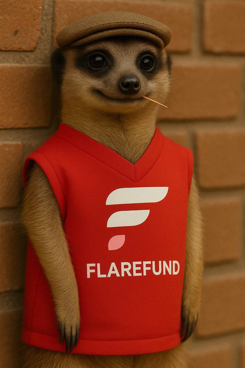 POV: When you’re the face of on-chain by $FLR crowdfunding but still need someone to explain what “gas fees” even are… 😂

FlareFund: